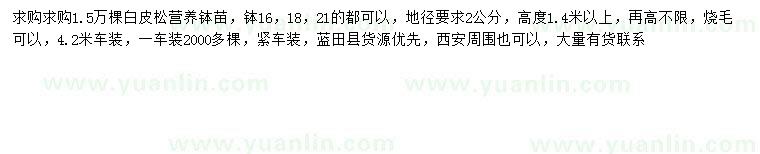 求購地徑2公分白皮松
