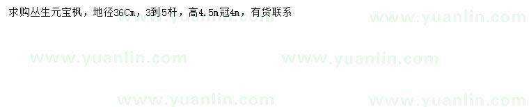 求購地徑36公分叢生元寶楓