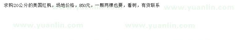 求購(gòu)20公分美國(guó)紅楓