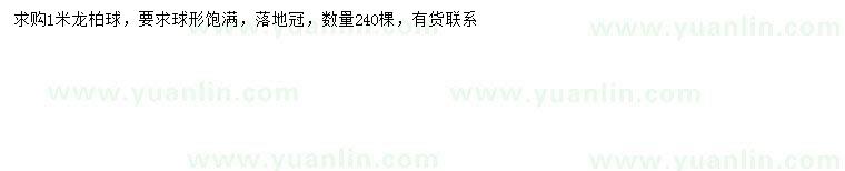 求購1米龍柏球