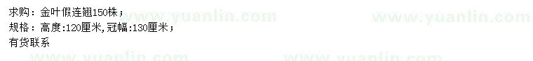 求購(gòu)高120公分金葉假連翹