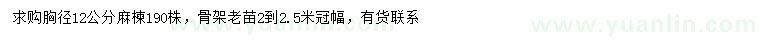 求購胸徑12公分麻楝