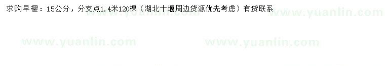 求購(gòu)15公分早櫻