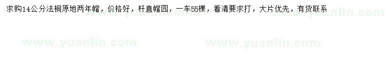 求購14公分法桐