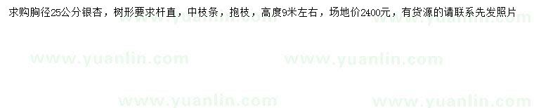 求購(gòu)胸徑25公分銀杏
