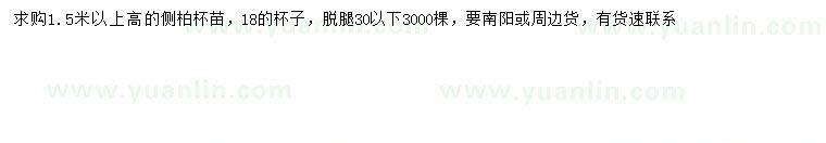 求購(gòu)高1.5米以上側(cè)柏