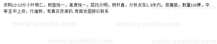 求購12-13公分小葉欖仁