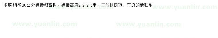 求購胸徑30公分銀杏樹