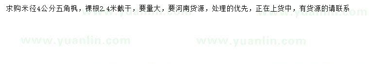 求購米徑4公分五角楓