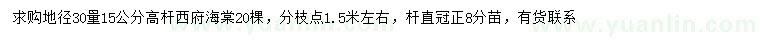 求購30量15公分高桿西府海棠