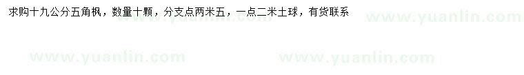 求購(gòu)19公分五角楓