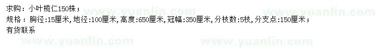 求購胸徑15公分小葉欖仁