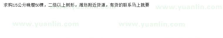 求購15公分晚櫻