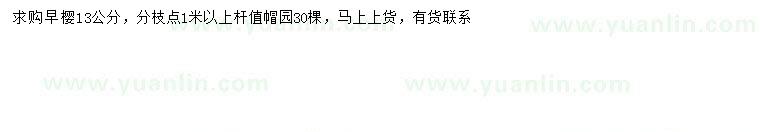 求購13公分早櫻