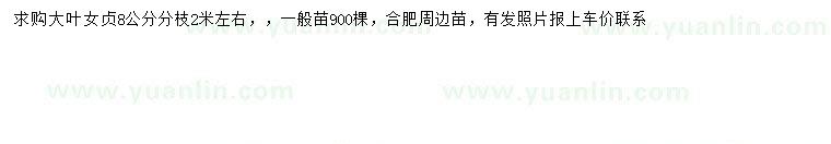 求購(gòu)8公分大葉女貞