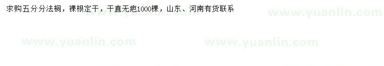 求購(gòu)5分分法桐