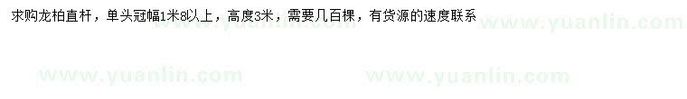 求購冠幅1.8米以上龍柏