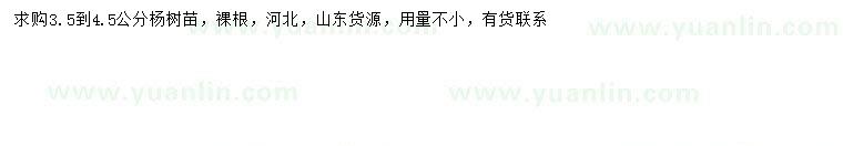 求購(gòu)3.5-4.5公分楊樹(shù)