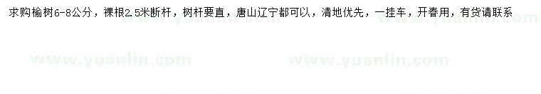 求購6-8公分榆樹(shù)