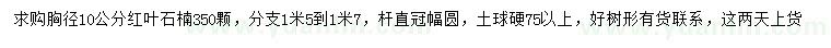求購胸徑10公分紅葉石楠