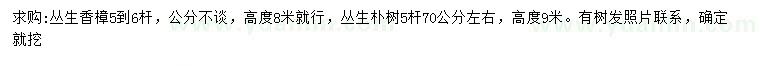 求購(gòu)高8米叢生香樟、高9米叢生樸樹(shù)