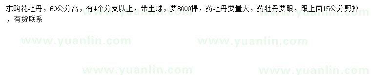 求購高60公分牡丹