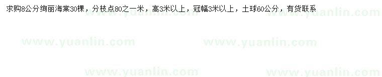 求購8公分絢麗海棠