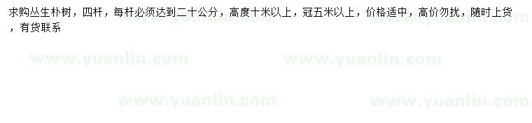 求購(gòu)冠幅5米以上叢生樸樹(shù)