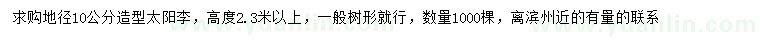求購地徑10公分造型太陽(yáng)李