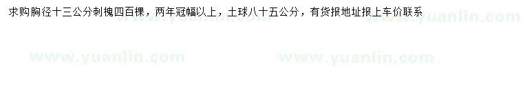 求購(gòu)胸徑13公分刺槐