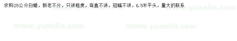 求購(gòu)25公分白蠟