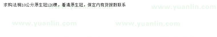 求購10公分法桐