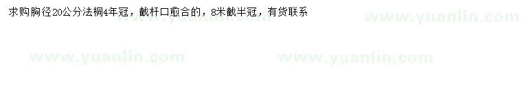 求購胸徑20公分法桐