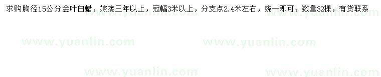 求購(gòu)胸徑15公分金葉白蠟