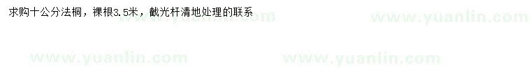 求購10公分法桐