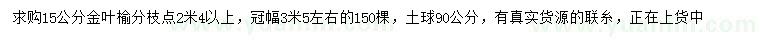 求購15公分金葉榆