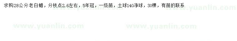 求購(gòu)28公分老白蠟