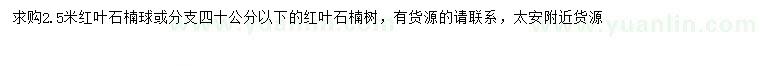 求購(gòu)2.5米紅葉石楠球
