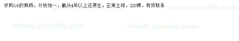 求購16公分楓楊