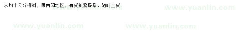 求購10公分柳樹