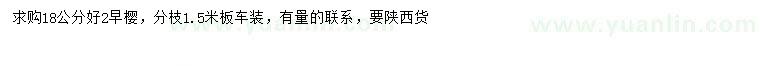 求購(gòu)18公分早櫻
