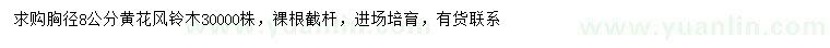 求購胸徑8公分黃花風(fēng)鈴木