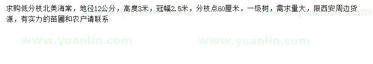 求購地徑12公分北美海棠