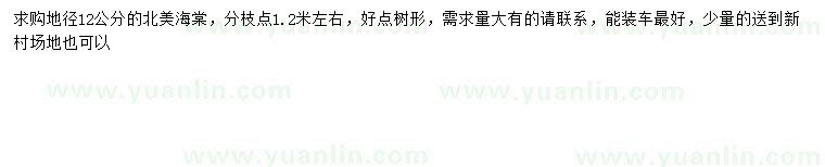 求購地徑12公分北美海棠