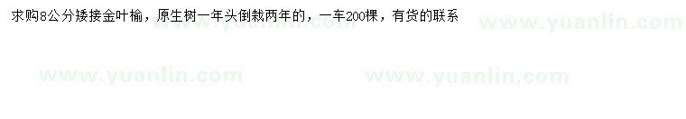 求購(gòu)8公分金葉榆