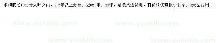 求購(gòu)胸徑10公分大葉女貞