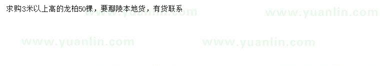 求購(gòu)高3米以上龍柏
