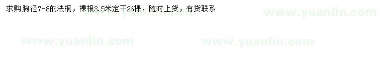 求購胸徑7-8公分法桐