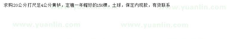 求購(gòu)20量4公分黃櫨