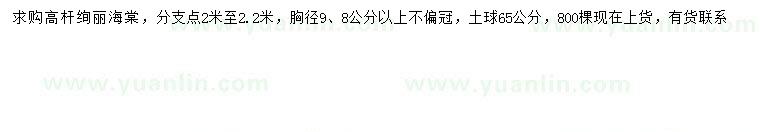 求購胸徑8-9公分高桿絢麗海棠